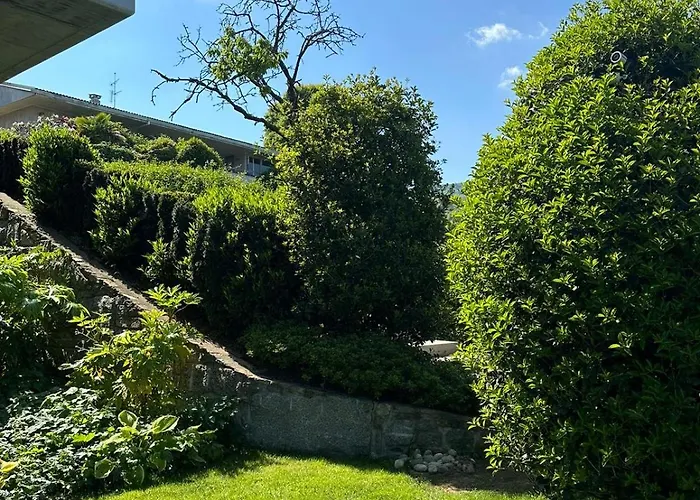 Rose On The Arona Meina